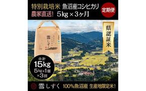 【令和8年産】定期便！農家直送！県認証特別栽培魚沼産コシヒカリ【合計15kg】毎月5kg×3回 精米 ご飯 ブランド米 銘柄米