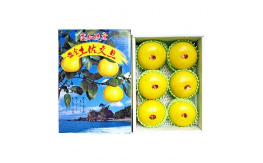 【CF-R7hbk】高知県産 温室文旦 5kg 5キロ 文旦 ブンタン ぶんたん 柑橘 かんきつ 蜜柑 みかん 柑橘類 フルーツ 果物 くだもの デザート おやつ 爽やか 甘い あまい ジュース 美味しい おいしい