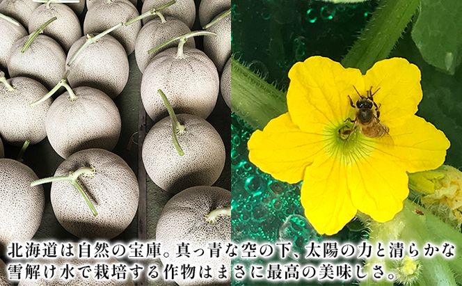 【2026年6月下旬～発送】特選 ふらの メロン 3玉 計約6kg 北海道 富良野市 赤肉メロン (ジュラファーム富良野) メロン フルーツ 果物 新鮮 甘い 贈り物 ギフト 道産 ジューシー おやつ ふらの ブランド 夏 