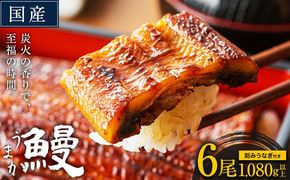 うなぎ 国産 鰻 特上サイズ 6尾 合計1080g (刻みうなぎ30g×3袋含む) うまか鰻 《1月出荷》 九州産 たれ さんしょう 付き ウナギ 鰻 unagi 蒲焼 うなぎの蒲焼 惣菜 ひつまぶし きざみうなぎ 特大サイズ 訳あり  蒲焼き ふるさとのうぜい---mf_fskiungkzm_24_ac1_33000_6p---