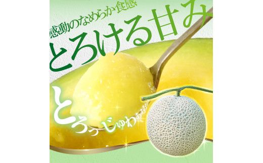 【先行予約】メロン 1玉入（約1.4kg～1.8kg）青肉 〈2027年6月中旬～7月中旬頃発送〉 メロン めろん マスクメロン 舐瓜 果物 くだもの フルーツ デザート 旬 ハウス栽培【株式会社とさもん】[BQAE026]