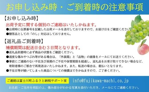 【2026年発送分】ゆず（優良品）フルーツとして食べられるゆず 約2.4kg 11月以降発送予定　えぐみの無い柚子本来の味　ゆず 柚 ユズ 柚子 生ゆず 生ユズ