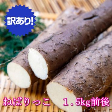 [訳あり]ねばりっこ1.5kg ※日本全国配送可能 ※期間限定11月上旬から4月中旬頃に順次発送