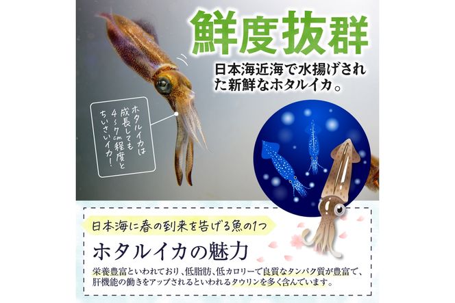 魚屋が漬けるホタルイカの沖漬け　4パック（1パック180g）計約720g ふるさと納税 沖漬け 新鮮 海鮮 沖漬け 酒 つまみ 酒の肴 日本酒 おつまみ 珍味　TB00057