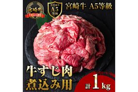A5 等級 宮崎牛 すじ肉 煮込み用(計1kg・500g×2P) 黒毛和牛 牛スジ肉 牛 牛肉 肉 にく 牛すじ煮込み 煮込み どて煮 カレー ビーフシチュー おでん スープ 冷凍 個包装【OT-13】【KNOT合同会社】