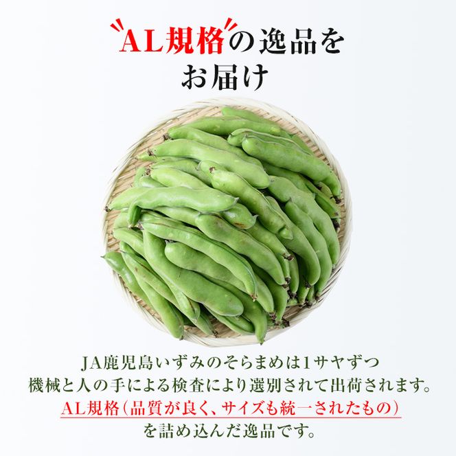 ＜先行予約受付中！2026年4月中旬以降順次発送予定＞春の味覚の鹿児島県産そらまめ(4kg) 大容量 国産 野菜 そら豆 ソラマメ セット 詰合せ 詰め合わせ 旬 ベジタブル 期間限定 AL規格 国産 鹿児島県産 阿久根市産 冷蔵【鹿児島いずみ農業協同組合】akn018-11