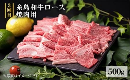 美味しさ 満載 ！ 贅沢 お肉 セット の 定期便 全5回（月1回） 3人 家族用 【福岡 糸島産 牛肉 豚肉 鶏肉 ステーキ しゃぶしゃぶ すき焼き ヒレ シャトーブリアン ロース 】 糸島 / 糸島ミートデリ工房 [ACA084] すき焼き 定期便 切り落とし しゃぶしゃぶ ステーキ 焼肉 赤身 黒毛和牛 国産