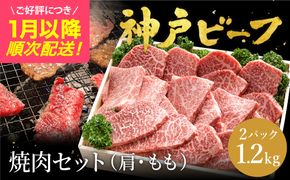 神戸牛 焼肉セット 牛肉 焼肉用 肩 もも 計600g×2P (TYY2-2) item1362-56-2【但馬牛太田家】【好評につき1月以降順次発送】