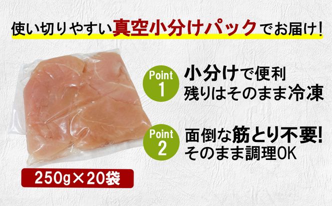 宮崎県産 若鶏筋なしささみ 5kgセット (250g×20袋) 鶏肉 ささみ 鶏ささみ 小分け 真空パック タンパク質 チキン冷凍 国産 宮崎県産 九州 送料無料