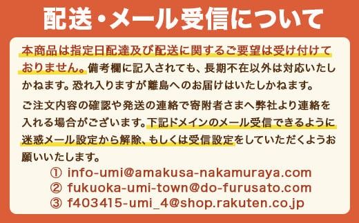 2024年12月上旬から2025年1月下旬に順次発送予定　AX002