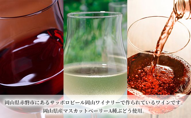 ワイン 飲み比べ 定期便 4ヶ月 サッポロ 岡山 ワイナリー お酒 ワイン ぶどう 