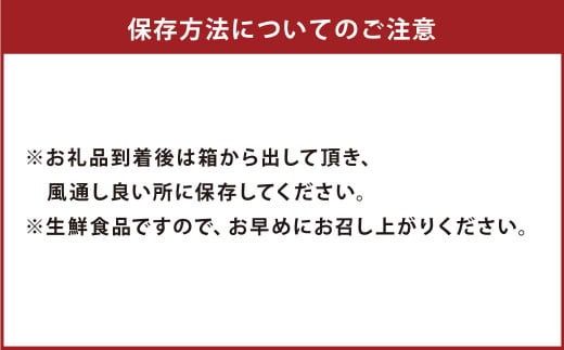 【先行受付】特別栽培ポンカン 10kg サイズミックス 柑橘 ポンカン ぽんかん フルーツ 果物 果実 九州産 熊本県 上天草市【2025年1月上旬から2月下旬発送予定】