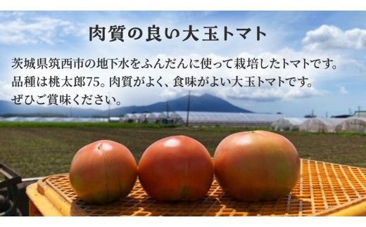 地下水100％で作る美味しい 「 桃太郎トマト 」 8kg 野菜 桃太郎 トマト とまと 地下水 ミネラル [DU008ci]