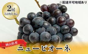 ぶどう 2026年 先行予約 ニュー ピオーネ 2房（合計約1.1kg）化粧箱入り ブドウ 葡萄  岡山県産 国産 フルーツ 果物 ギフト  