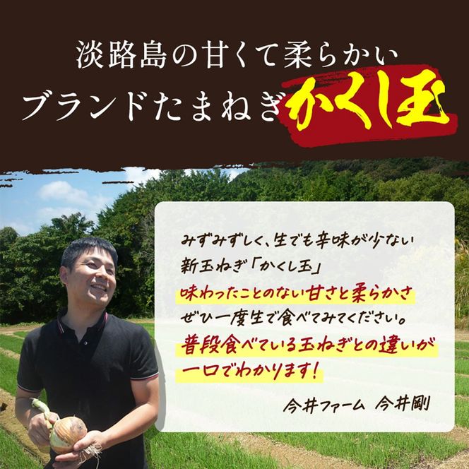 【新玉ねぎ】今井ファームの淡路島たまねぎ「かくし玉」 2kg【発送時期2026年4月下旬～5月頃】