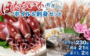 【先行予約】ほたるいか ボイル＆刺身セット【27年3月中旬以降順次発送】カネツル砂子商店【冷蔵 ホタルイカ 旬 朝どれ おつまみ 期間限定 海鮮 ボイル 刺身 ほたるいか 蛍烏賊 ボイルほたるいか 富山県 富山 富山県産 魚介類 いか イカ 】