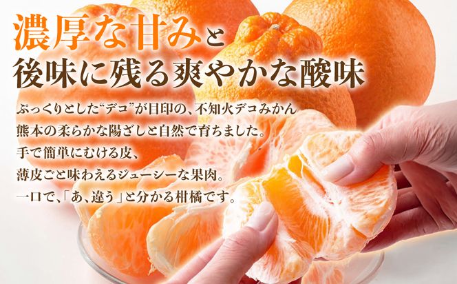 【先行予約】 不知火 デコみかん (デコポン同品種) 約10kg (24～48玉) フルーツ くだもの 果物 みかん 蜜柑 ミカン 柑橘 おやつ デザート 旬 熊本県 八代市  【2027年2月上旬より順次発送】