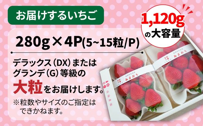 【農家直送！】【先行受付】糸島産 春 あまおう 280g × 4パック  (DXまたはGサイズ)   【2027年1月下旬以降順次発送】糸島市 / 後藤農園 [AML002] いちご 福岡
