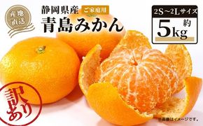 【2026年1月上旬～順次発送】 訳あり 青島 みかん 5kg 家庭用 青島みかん 果物 国産 フルーツ 柑橘 蜜柑 期間限定 季節限定 訳あり品 大きさ 不揃い ミカン  静岡県 藤枝市