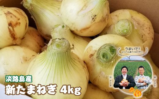 淡路島産　新たまねぎ　4ｋｇ【発送時期：2026年3月～5月頃】