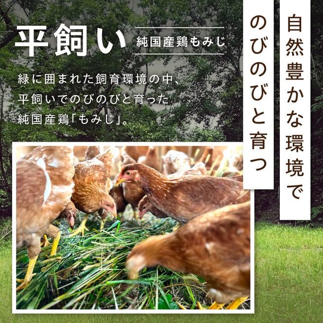 『スマイルファーム桃花台』平飼いもみじの鶏ミンチ 600g 平飼い もみじ 鶏ミンチ 容量 300g 2パック 国産 肉 鶏肉 親鶏 荒挽 ミンチ 挽肉 冷凍 つくね 鍋 肉だんご ミートボール スマイルファーム桃花台 お取り寄せ お取り寄せグルメ 愛知県 小牧市 送料無料 ［154T05］ 