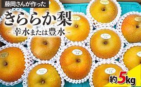 藤岡さんが作ったきららか梨(幸水・豊水)約5kg ｜ フルーツ なし 果物　 果物 フルーツ 秋の味覚 デザート 食後 おやつ 旬の果物 旬のフルーツ 最高級 ブランド梨 　※2026年8月～発送