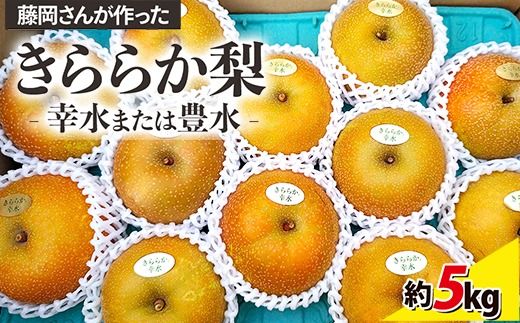 藤岡さんが作ったきららか梨(幸水・豊水)約5kg ｜ フルーツ なし 果物　 果物 フルーツ 秋の味覚 デザート 食後 おやつ 旬の果物 旬のフルーツ 最高級 ブランド梨 　※2026年8月～発送