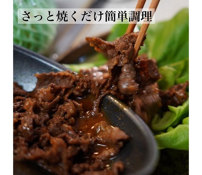 【7日以内発送】京都産 黒毛和牛 A5 A4 こま切れ 小分け 300g×2 600g 焼肉 タレ漬け 冷凍 不揃い 訳あり＜焼肉専門店 平壌亭＞｜内容量が選べる 選べる 小分け 牛肉 訳アリ　※離島への配送不可