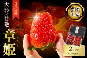 【京丹後産いちご章姫】農園直送便！新鮮大粒いちご 2パック ギフト箱入り／北畿水産 国産 大粒 あきひめ 甘い やわらかい ふるさと納税 いちご イチゴ 苺 先行予約 期間限定 くだもの 果物 先行申込 ストロベリー ギフト 送料無料　HK00159
