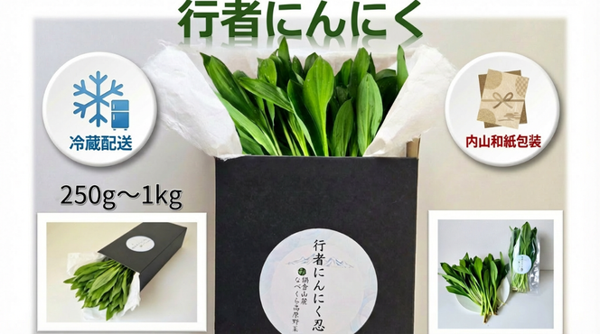 【令和9年産先行予約】行者にんにく 忍 250ｇ入り　1箱(35枚～40枚)《出荷時期：2027年5月中旬頃〜》株式会社ForestDoor (Ce-011)