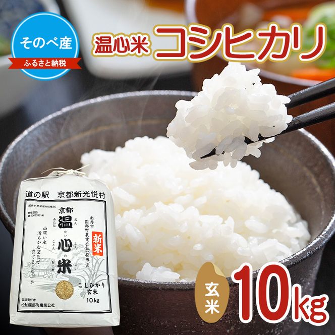 【寄付額を見直しました】  コシヒカリ10kg 玄米 10kg袋 令和7年度産　そのべ産 温心米 お米 10kg 単一原料米 こしひかり 丹波 精米 玄米 こめ コメ 京都