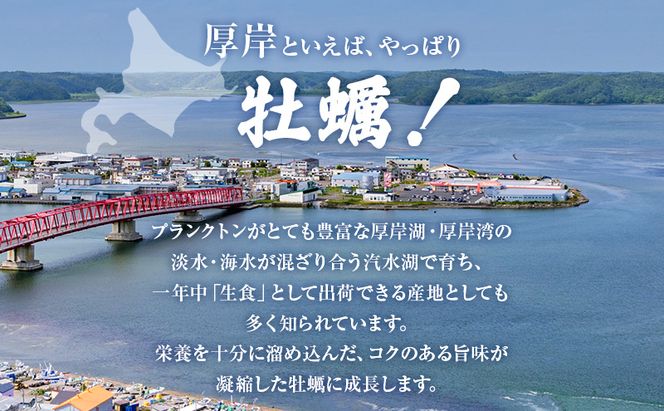 厚岸産 牡蠣 「マルえもん」 LLサイズ 30個 (約4kg) と 厚岸産 あさり 1kg セット (合計約5kg) 牡蠣 あさり 貝類 魚貝類 加工食品 カキ シーフード マルえもん