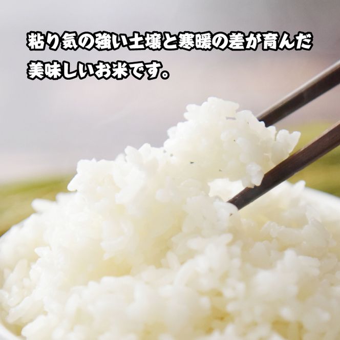 淡路島産　お米「キヌヒカリ」（純米）5ｋｇ