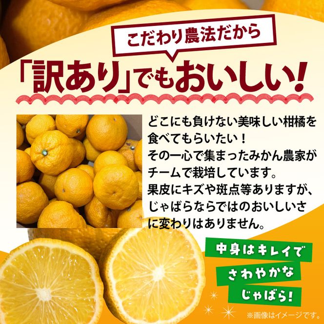 AB7033n_（国産）紀州和歌山の じゃばら 果実（訳あり ジャバラ 家庭用）1kg 国産 紀州 和歌山 じゃばら 果実 訳あり 家庭用