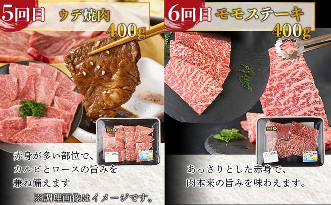 ＜6か月定期便 宮崎牛焼肉・ステーキ 食べ比べコース＞入金確認後、1～3か月以内に第一回目発送【b0412_my_x2】