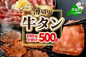 味付き薄切り牛タン500g（250g×2）【NM0000009】