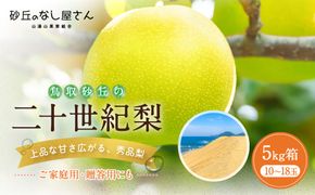 二十世紀梨 秀品 5キロ（砂丘のなし屋さん） 312011_CF001