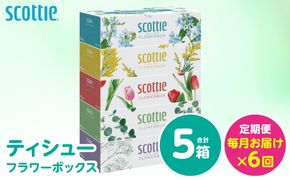 【定期便6回】【毎月お届け】【スコッティ】 ティシュー フラワーボックス 250組 5箱 計30箱 ティッシュ 日用品 生活必需品 消耗品 紙 備蓄 防災備蓄 ストック デザインボックス 新生活 防災 生活用品 日用消耗品 箱ティッシュ 熊本県 八代市
