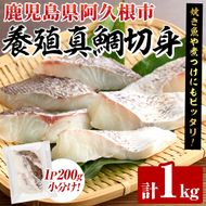 養殖真鯛切身(約1kg) 鹿児島県 阿久根市 たい タイ 真鯛 魚貝 魚介 海産物 切身 切り身 煮物 煮つけ 焼き魚 おかず おつまみ 小分け 【さるがく水産】akn028-46