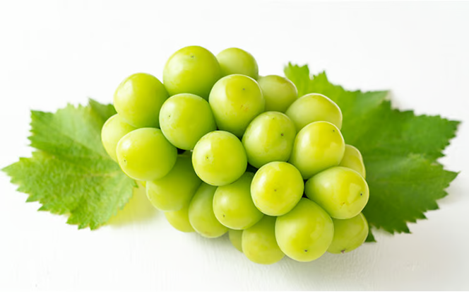 ぶどう 2026年 先行予約 シャイン マスカット 晴王 1房（700g以上）化粧箱入り マスカット ブドウ 葡萄 岡山県産 国産 フルーツ 果物 ギフト シャインマスカット 贈答箱