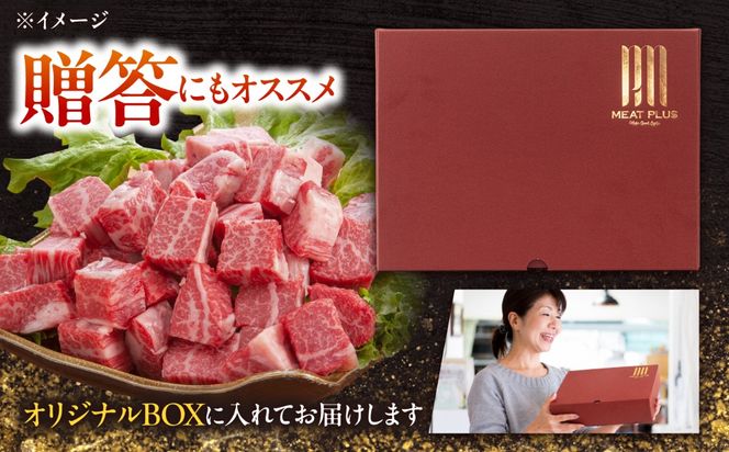 【A4〜A5】長崎和牛サイコロステーキ 500g（250g×2）/ 牛肉 ぎゅう肉 和牛 / 南島原市 / 株式会社MEAT PLUS[SHG059]