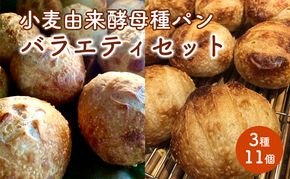 小麦由来酵母種パンバラエティセット 3種11個 