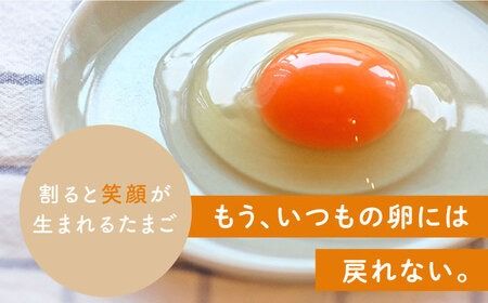【プリップリな卵黄！】つまんでご卵 40個セット 卵 たまご 糸島 / 緑の農園 [AGA011] たまご 卵 鶏卵 玉子 平飼い たまごかけご飯 卵かけご飯 卵焼き 生卵 濃厚
