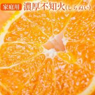 【先行予約】【先行予約】有田育ちの不知火 (しらぬい)(訳あり 家庭用)約2kg◇ ※2026年1月下旬～3月下旬頃に順次発送予定 ※北海道・沖縄・離島への配送不可