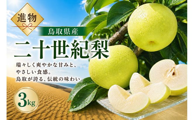 山根農園 二十世紀梨 3kg【2026年8月下旬以降発送】 313726_CY022
