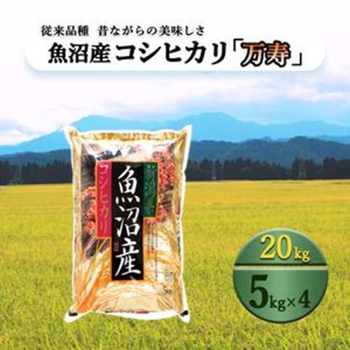 数量限定 従来品種 魚沼産コシヒカリ 精米 5kg×4
