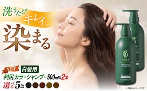 【2本入】［白髪用］ 利尻カラーシャンプー 大容量サイズ 糸島市 / 株式会社ピュール ヘアケア シャンプー [AZA066] シャンプー 白髪染め カラーシャンプー 無添加 ノンシリコン 大容量
