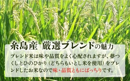 【年内発送】【令和7年産新米】 いとし米 厳選ブレンド 5kg (糸島産) 糸島市 / 三島商店[AIM020] 米 お米 ご飯 白米 夢つくし ゆめつくし ヒノヒカリ