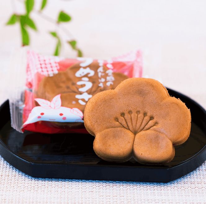 焼き 饅頭 「うめうさ」10個入り もっちり生地と上品なこしあんの和菓子 有田銘菓【梅義】(A1201-1)