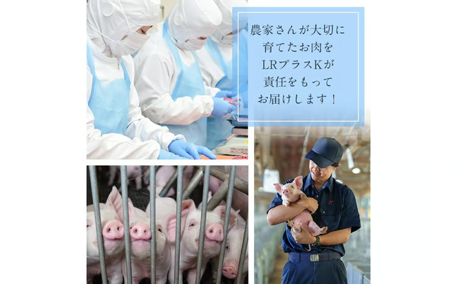 【3回定期便】鹿児島県産 豚肉 バラエティ セット3種 (2.1kg×3回 計6.3kg) t0039-006